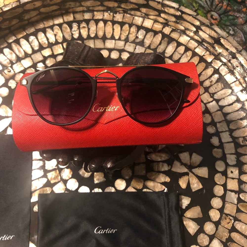 Cartier Men’s Outdoor Driving Sunglasses